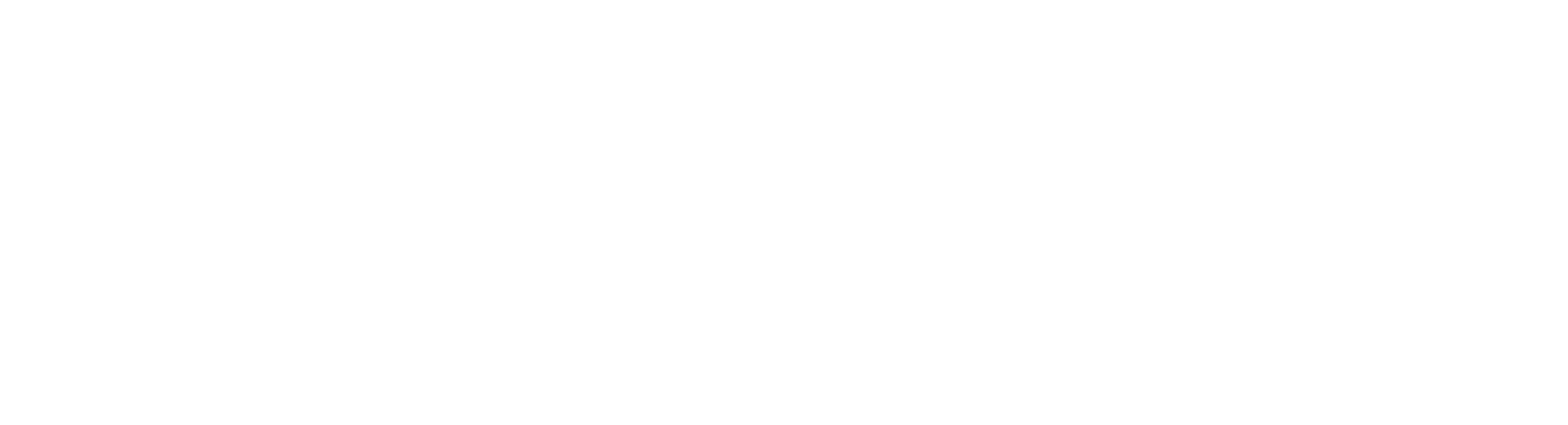 The Wild Photography